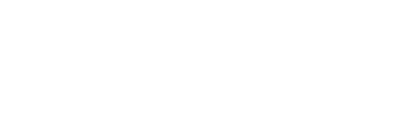 Li Ziqi logo
